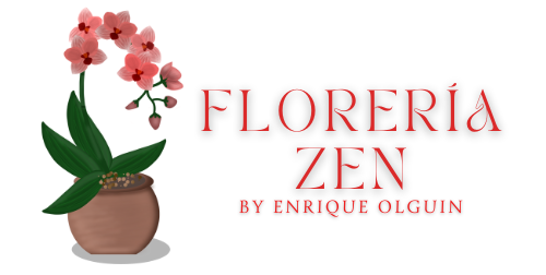 Florería ZEN | Enrique Olguin